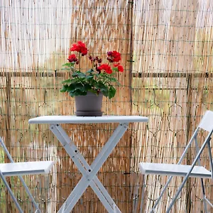 Appartement Mondello Cottage, Mondello